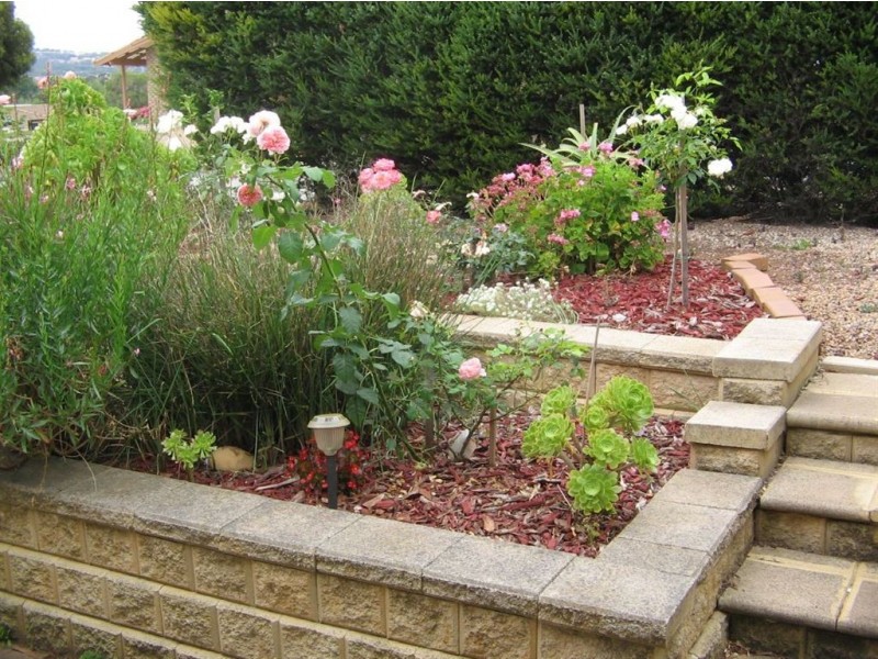 3 Aralia Court, Reynella SA 5161