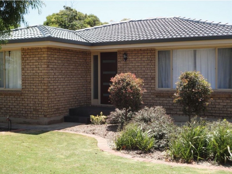 19 Jenner Street, Morphett Vale SA 5162
