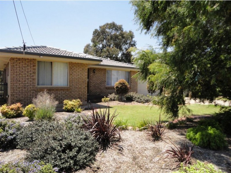 19 Jenner Street, Morphett Vale SA 5162