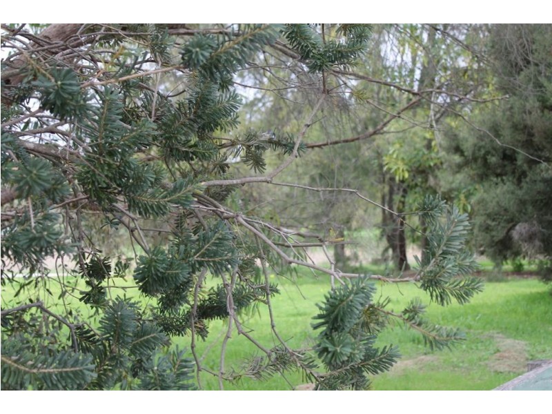 2/45 Corn Street, Old Reynella SA 5161