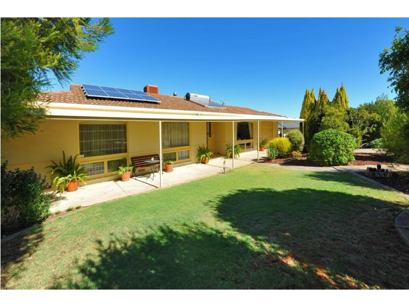 21 Elura Avenue, Sheidow Park SA 5158