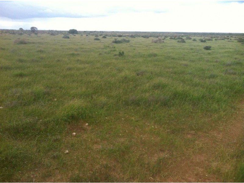 Lots/65 & 66 Murraylands Road, Blanchetown SA 5357