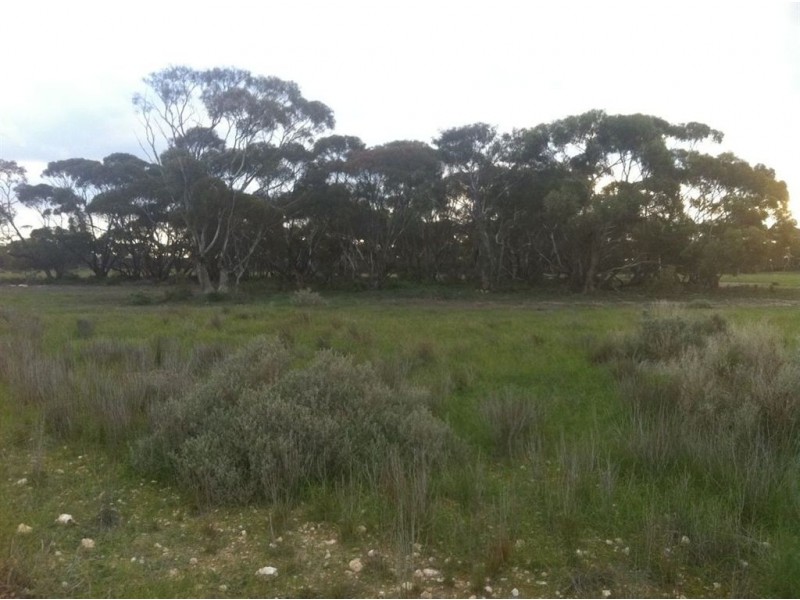Lots/65 & 66 Murraylands Road, Blanchetown SA 5357
