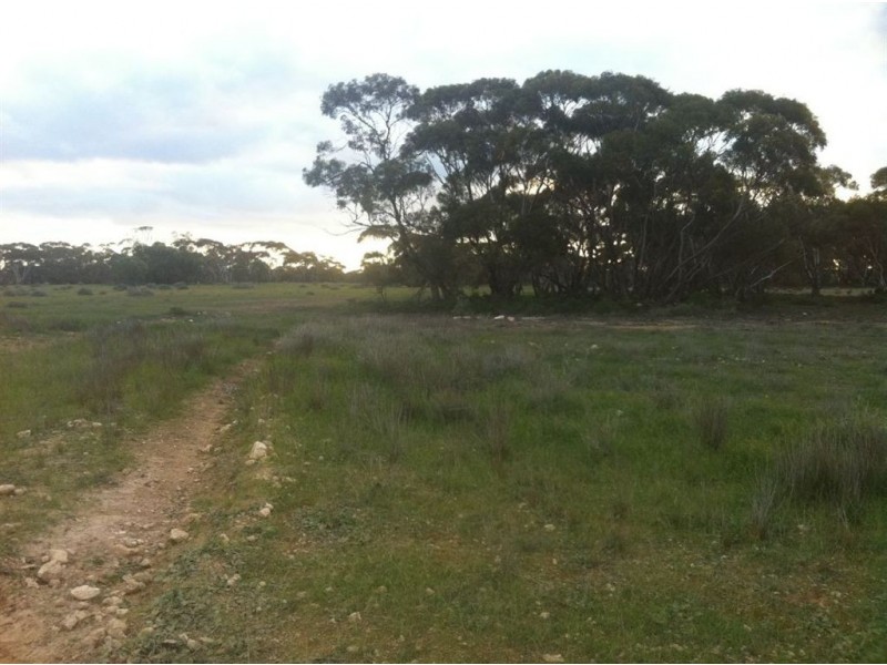 Lots/65 & 66 Murraylands Road, Blanchetown SA 5357