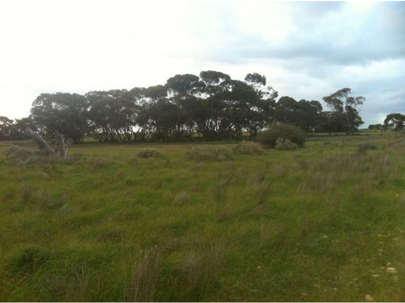 Lots/65 & 66 Murraylands Road, Blanchetown SA 5357