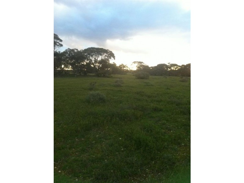 Lots/65 & 66 Murraylands Road, Blanchetown SA 5357