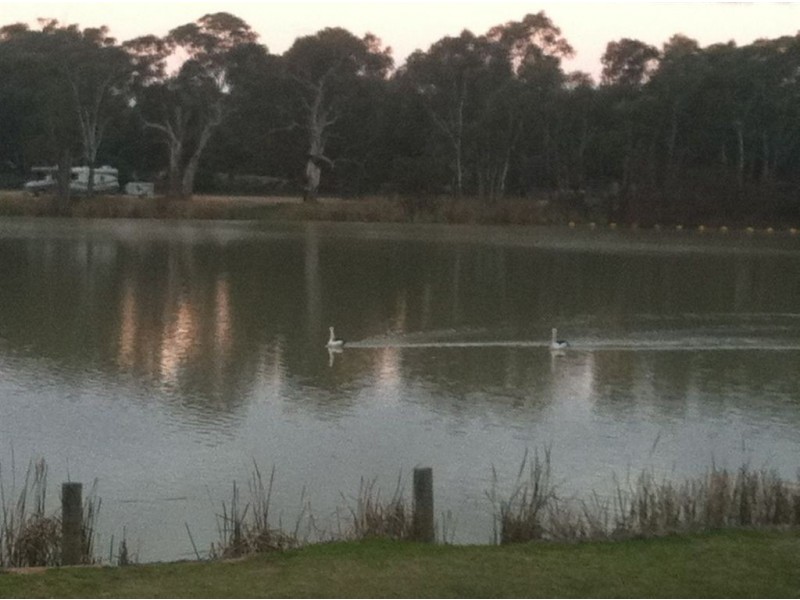 Lots/65 & 66 Murraylands Road, Blanchetown SA 5357