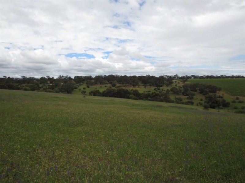 226 Upper Penneys Hill Road, Onkaparinga Hills SA 5163