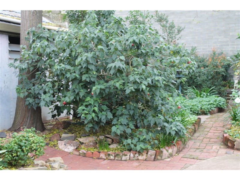 21 Ashford Road, Keswick SA 5035