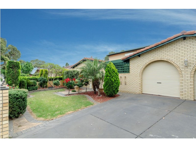 65 Torrens Avenue, Lockleys SA 5032
