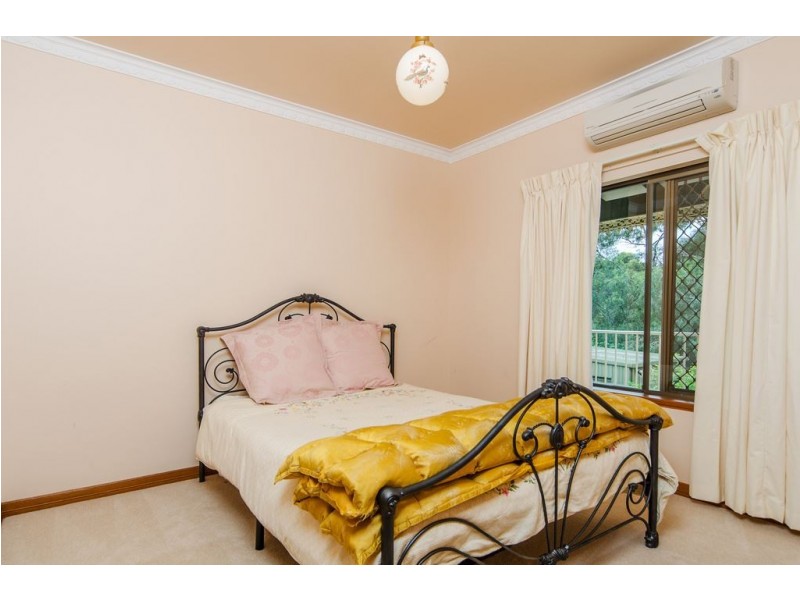 65 Torrens Avenue, Lockleys SA 5032