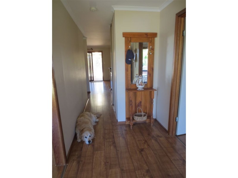 31 Fredrick Drive, Woodcroft SA 5162