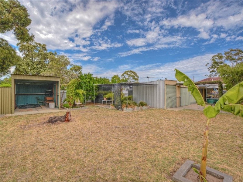 15 Percy Avenue, Clovelly Park SA 5042