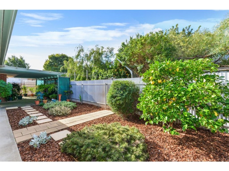 2a Roseberry Street, Daw Park SA 5041