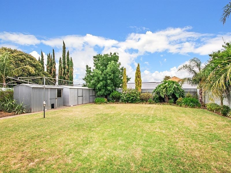 4 Celtic Avenue, Clovelly Park SA 5042