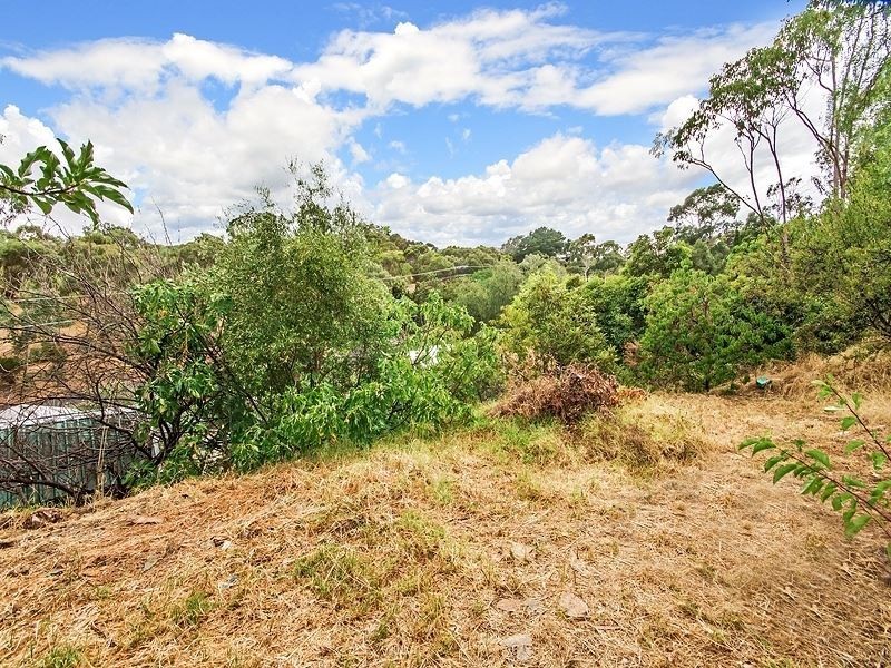 19 Jerilderie Drive, Happy Valley SA 5159