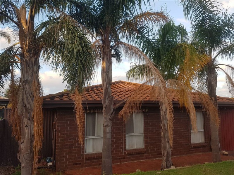 42 Kathryn Drive, Morphett Vale SA 5162
