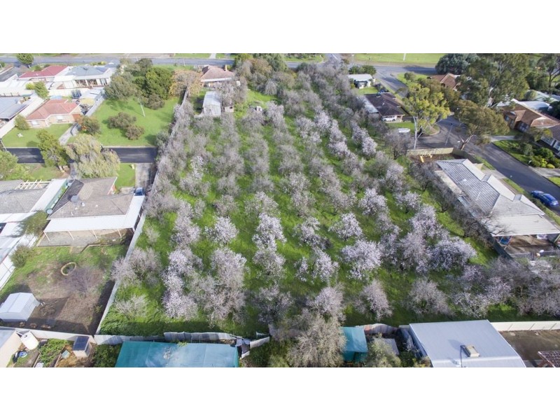 72 Young Street, Reynella SA 5161