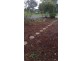 53 Copernicus Road, Christie Downs SA 5164