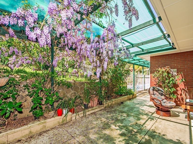 26 Renwick Street, Flagstaff Hill SA 5159