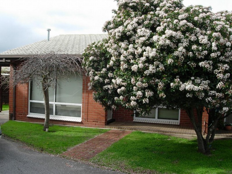 19/60 Booth Avenue, Morphett Vale SA 5162