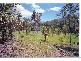 Lot 10 Gwydir Highway, Grafton NSW 2460