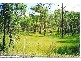 Lot 10 Gwydir Highway, Grafton NSW 2460