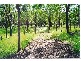 Lot 10 Gwydir Highway, Grafton NSW 2460