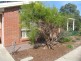1/18 Elizabeth Street, Tea Tree Gully SA 5091