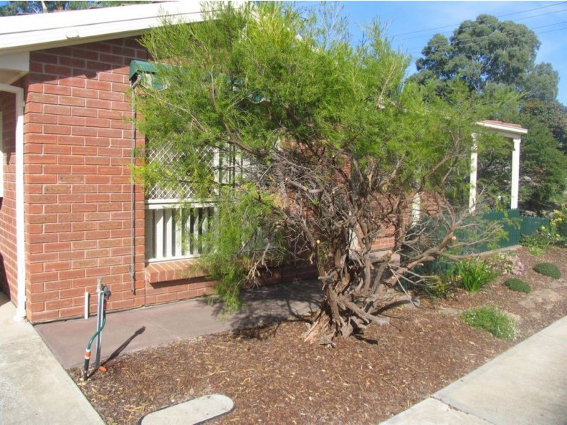 1/18 Elizabeth Street, Tea Tree Gully SA 5091