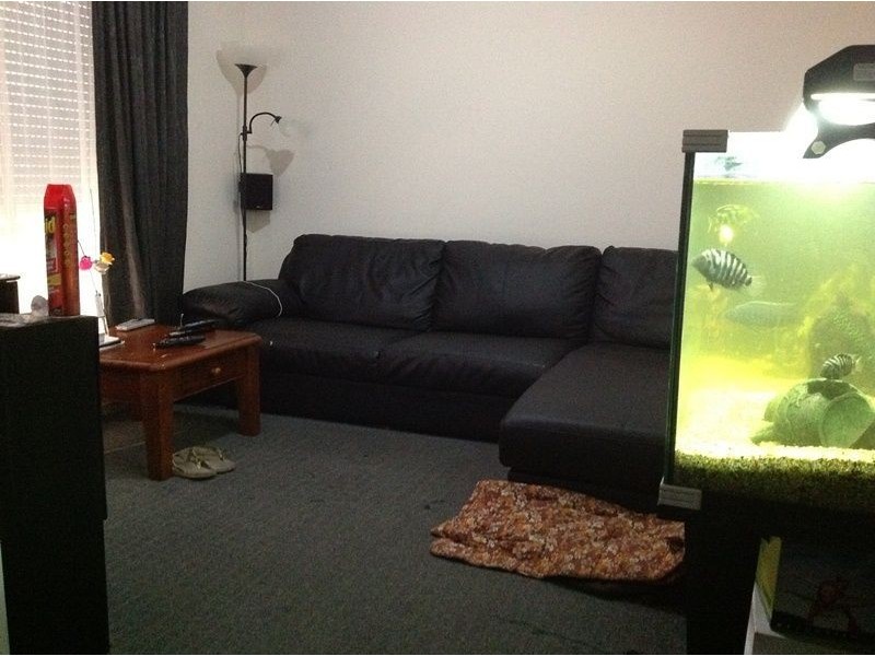 4 Caspian Lane, Andrews Farm SA 5114
