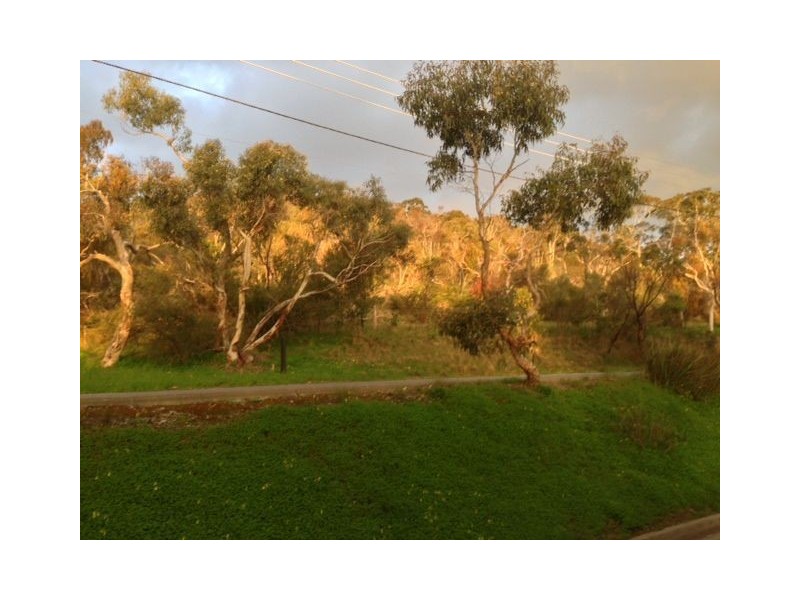 50 Perserverance Road, Tea Tree Gully SA 5091