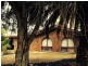 41 Baudin Avenue, Fairview Park SA 5126