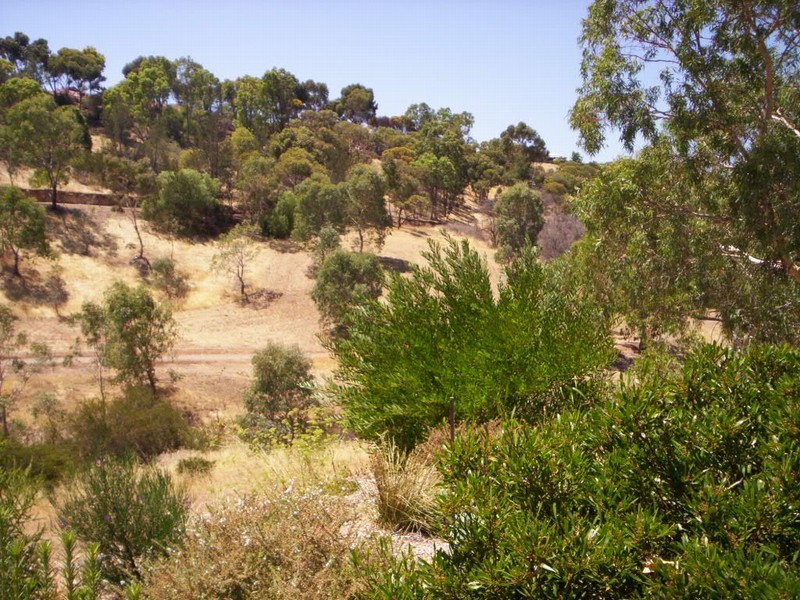 10a Pendeen Street, Golden Grove SA 5125