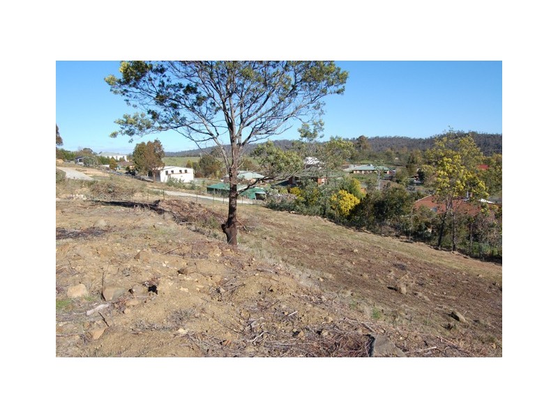 110 Panorama  Road, Blackstone Heights TAS 7250