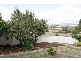 251 Penquite Road, Norwood TAS 7250