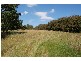 25A Adelaide Street, Westbury TAS 7303