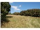25A Adelaide Street, Westbury TAS 7303