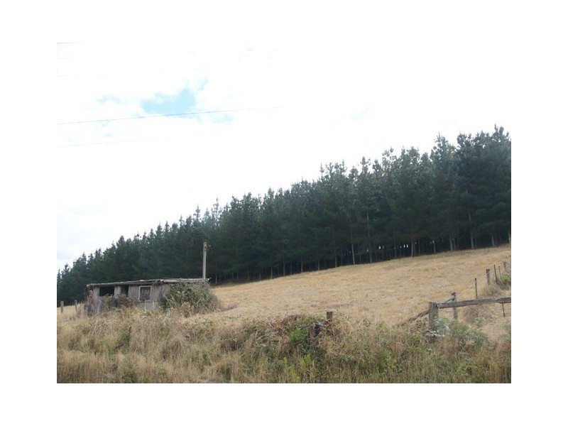 310 Priestley’s Lane, Birralee TAS 7303