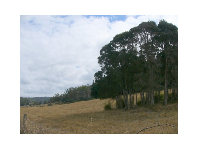 310 Priestley’s Lane, Birralee TAS 7303