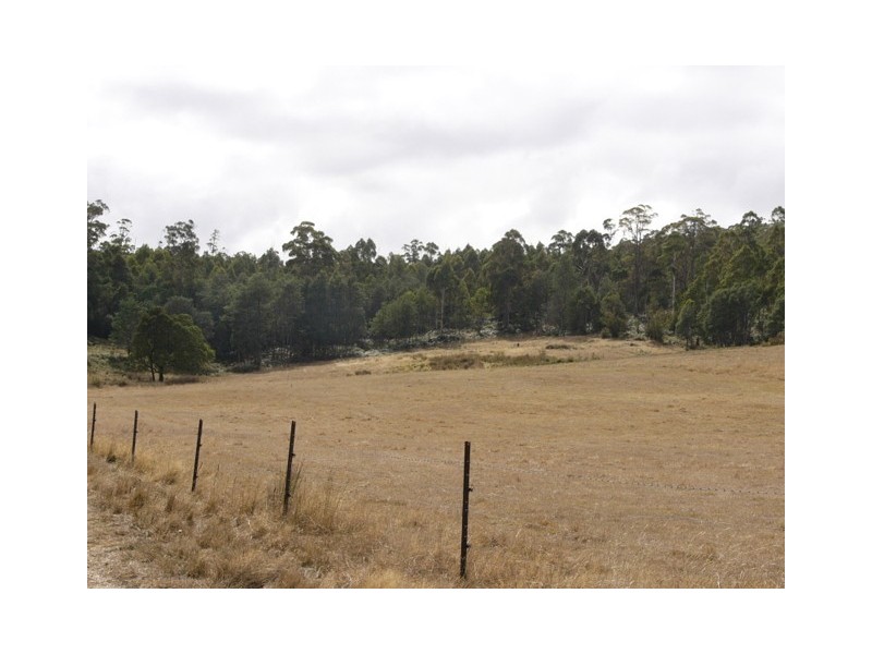 310 Priestley’s Lane, Birralee TAS 7303