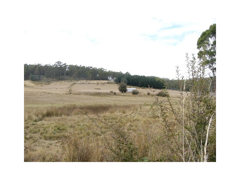 310 Priestley’s Lane, Birralee TAS 7303