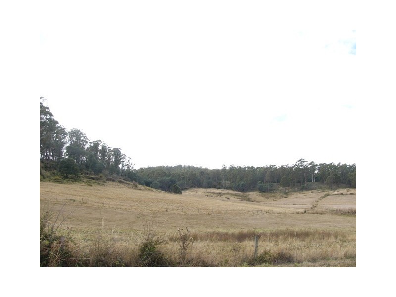 310 Priestley’s Lane, Birralee TAS 7303