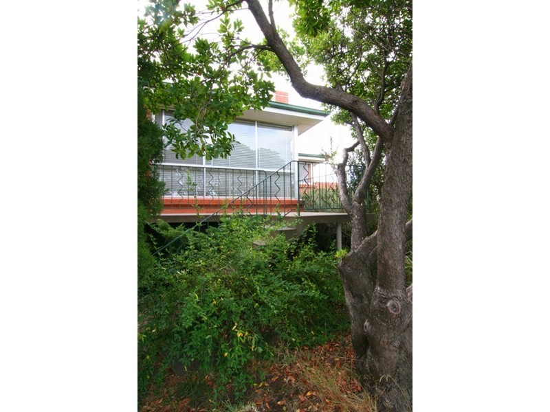 15 Arnold Street, Newnham TAS 7248