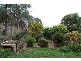 89 New World Avenue, Trevallyn TAS 7250