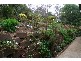 89 New World Avenue, Trevallyn TAS 7250