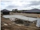 1/26-28 Bartlett Grove, Newnham TAS 7248