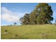 181 Browns Road, Lilydale TAS 7268