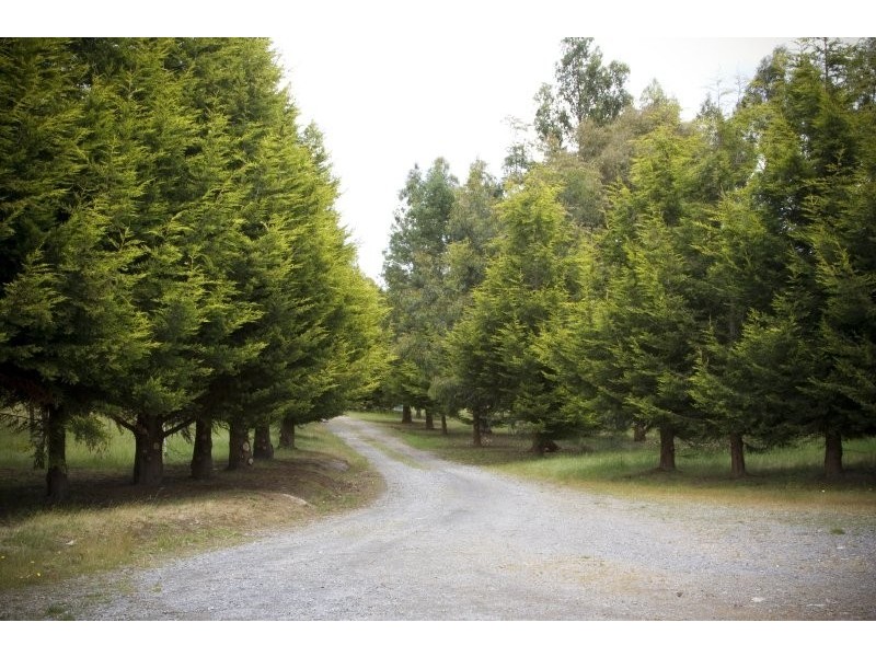 214 Lamont Road, Glengarry TAS 7275