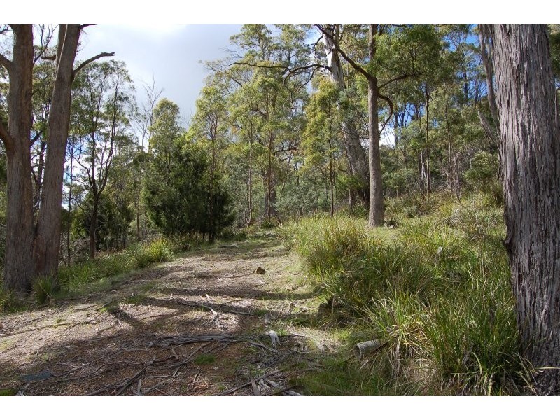 819 Bridgenorth Road, Bridgenorth TAS 7277